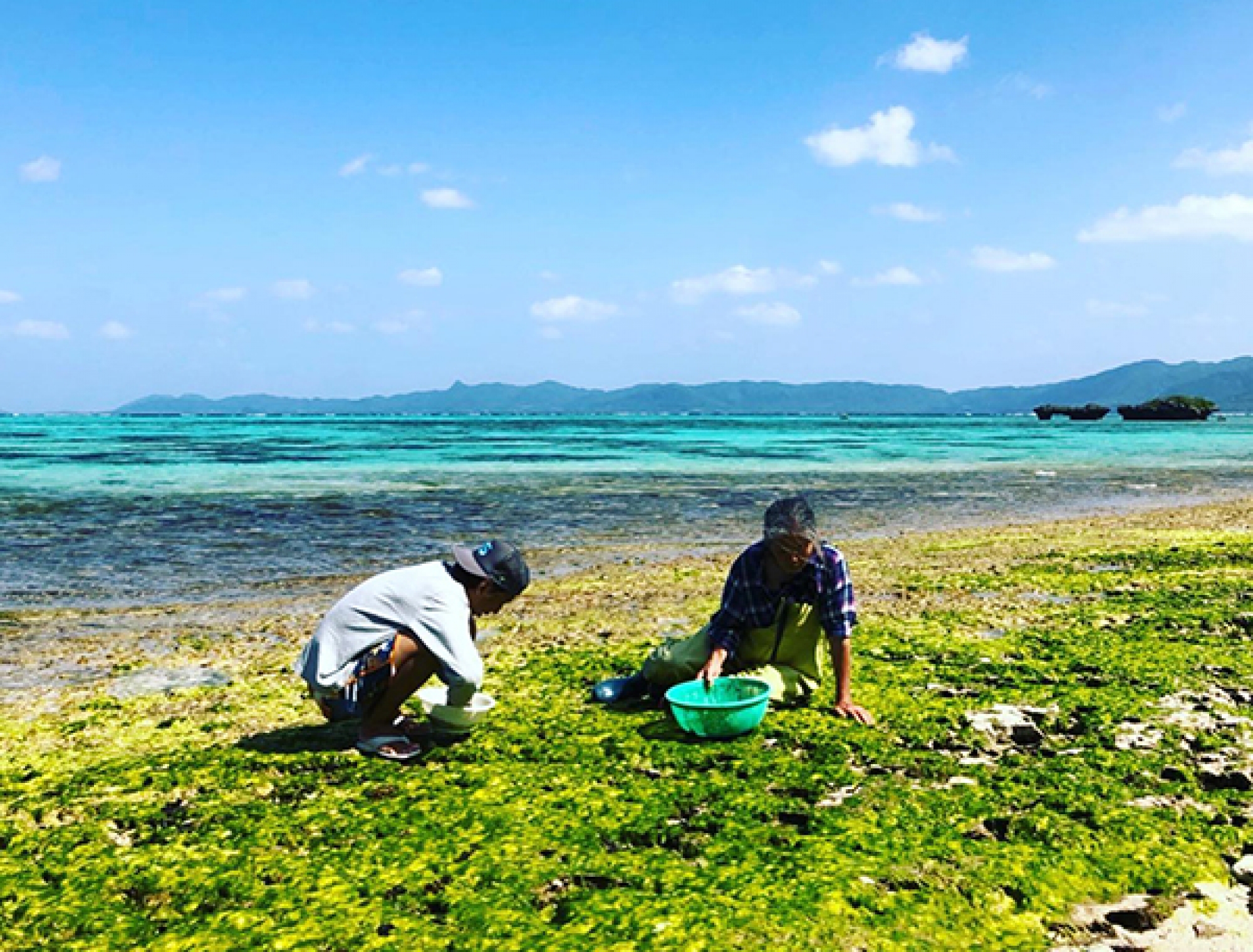 朝2時間だけ川平湾へサーフィンに行ってきました